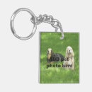 Search for pets at home key rings Dogs