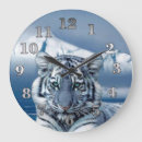 Search for big clocks Tiger