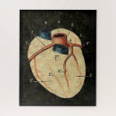 Search for human anatomy puzzles Heart