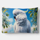 Search for cockatoo accessories Animal