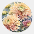 Search for chrysanthemums stickers Pattern