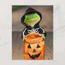 Search for gecko invitations Animals