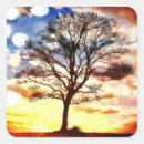 Search for tree of life square stickers Sunset