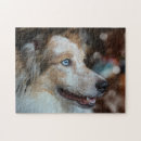 Search for australian shepherd puzzles Dog