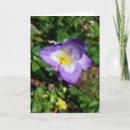 Search for freesias cards Flowers