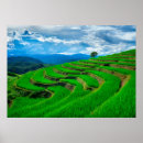 Search for rice paper art Nature