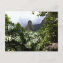 Search for needling postcards Hawaii