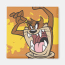 Search for road runner magnets Porky pig