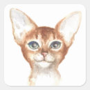 Search for abyssinian stickers Kitten