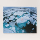 Search for polar bear puzzles Ice