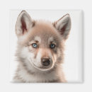 Search for wolf portrait magnets Animal