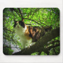 Search for bird hunters mousepads Cat