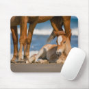 Search for foal mousepads Mustang
