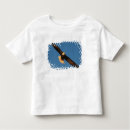 Search for bird of prey tshirts Eagle