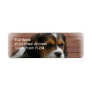 Search for beagle puppy return address labels Dog
