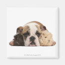 Search for english bulldog gifts Animal