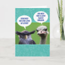 Search for funny bird cards Ostrich