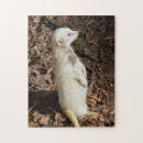 Search for unusual puzzles Animal