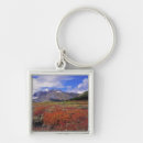 Search for banff alberta key rings Nature