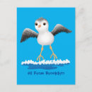 Search for sandpiper postcards Cute