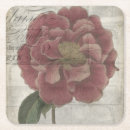 Search for floral barware Blooms