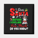 Search for how much magnets Xmas
