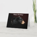 Search for black bear birthday cards Nature