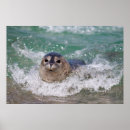 Search for frank ocean posters California