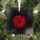 Search for gerbera daisy christmas tree decorations Bloom
