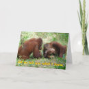 Search for id cards Cute