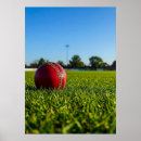 Search for cricket field posters Boundary