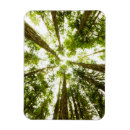 Search for lush green magnets Nature