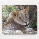 Search for lionesses mousepads Feline