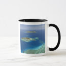 Search for beachcomber mugs Aqua