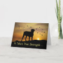 Search for pitbull pet supplies Sympathy