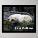 Search for lazy humor posters Nap