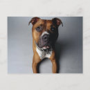 Search for lys postcards Grey