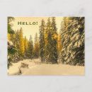 Search for forest path postcards Snow