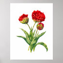 Search for realistic flower posters Botanical