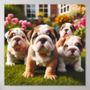 Search for english bulldog art Dogs