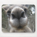 Search for roos mousepads Australia