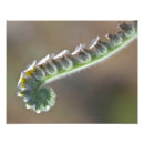 Search for spring time posters White