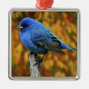 Search for blue bird christmas tree decorations Branch