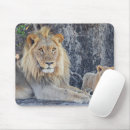 Search for wildcat mousepads Safari