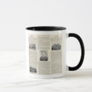 Search for windsor mugs California