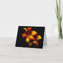 Search for golden lily cards Lilies