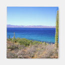 Search for mulege Blue