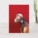 Search for bay horse cards Stallion