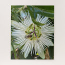 Search for bee puzzles Botanical