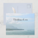 Search for tails postcards Ocean